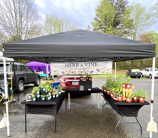 Upcoming Markets where you'll find Herb & Vine Healing Plants for sale: Jasper Farmers Market - Park & Ride lot on Veteran's Memorial Blvd. across from Lee Newton Park.