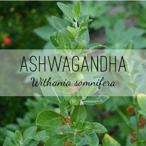 ashwagandha