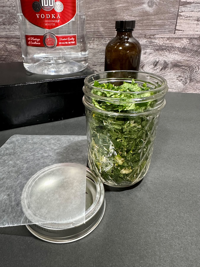 Toothache Plant Tincture Recipe from Herb & Vine Healing Plants in Jasper, GA